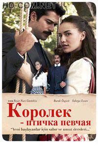 Королек - птичка певчая / Calikusu смотреть онлайн HD 720p качество