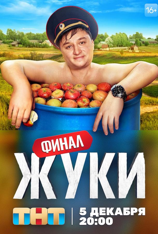 Постер к материалу Жуки